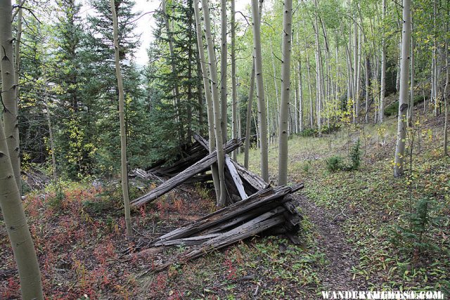 Prospector's Cabin - Alpine Gulch Trail
