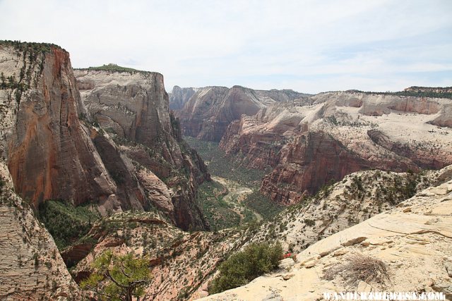 Observation Point Trail - Zion National Park