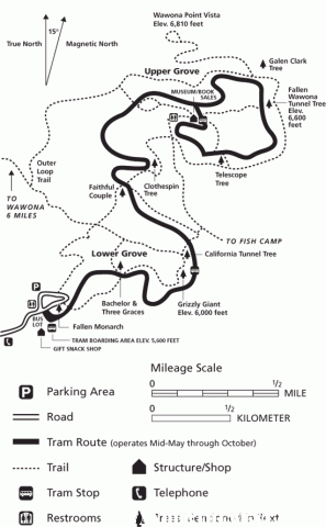 Mariposa Grove Map - Yosemite National Park