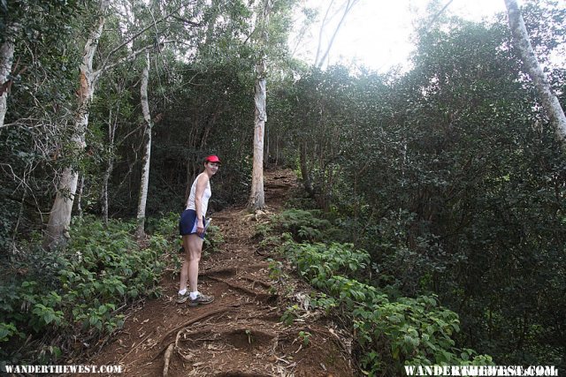 Steep Climb - Hanalei Okolehao Trail