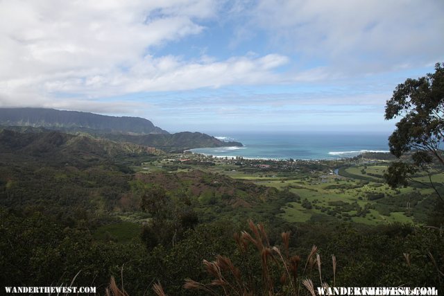 View of Hanalei Bay - Hanalei Okolehao Trail