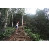 Steep Climb - Hanalei Okolehao Trail