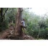 Taking a well-deserved rest - Hanalei Okolehao Trail