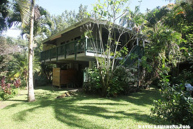 Our Jungle Cottage outside of Hanalei