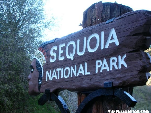 Welcome to Sequoia National Park!