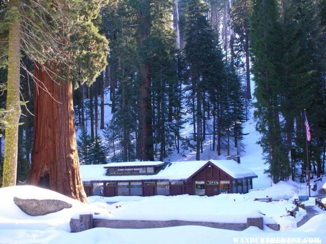 Giant Forest Museum in Sequoia