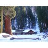 Giant Forest Museum in Sequoia