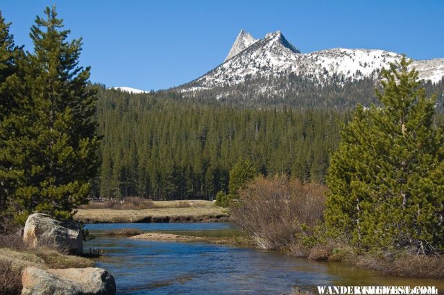 Cathedral Peak From Tuolumne Meadows