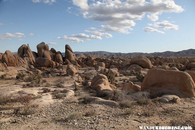 White Tank Campground