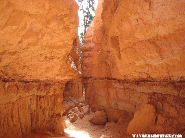 Bryce Canyon