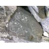 Petroglyphs on the Ozette Loop Trail - August 2007