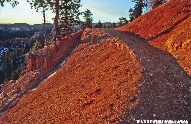 Bryce Canyon's Rim Trail at sunrise--red sun on red rock