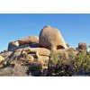 Can you see the skull peeking over the boulder?