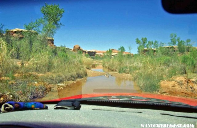 In the Salt Creek