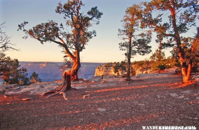 Sunset along the Rim