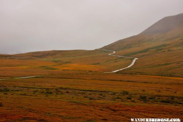 Road to Kantishna