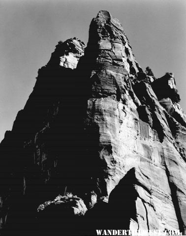 "In Zion National Park" by Ansel Adams, ca. 1933-1942