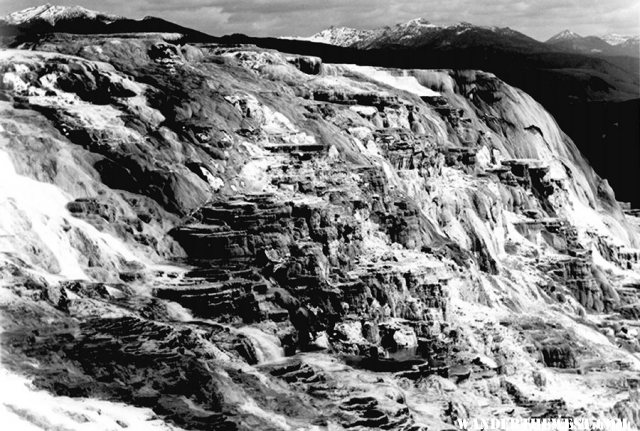 "Jupiter Terrace, Fountain Geyser Pool, Yellowstone National Park" by Ansel Adams, ca. 1933-1942