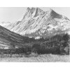 "Boaring River, Kings Region" by Ansel Adams, ca. 1936