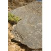 Petroglyphs ar Klare Sprigs in Titus Canyon