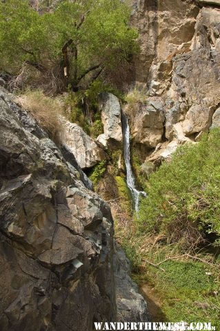 Darwin Falls