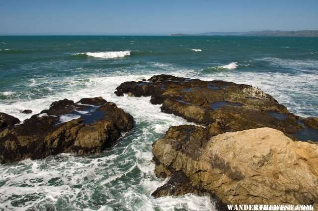 Tomales Bluff