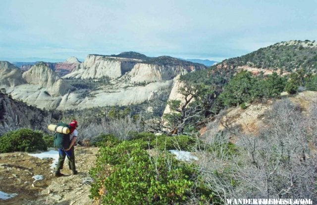 West Rim Trail--Views from the Horse Pasture Plateau