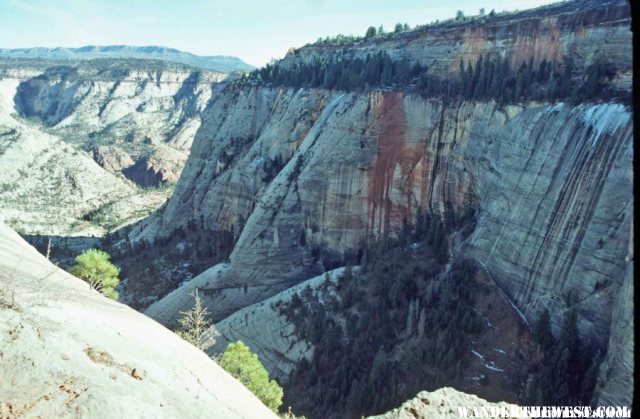 Telephone Canyon from the West Rim Trail