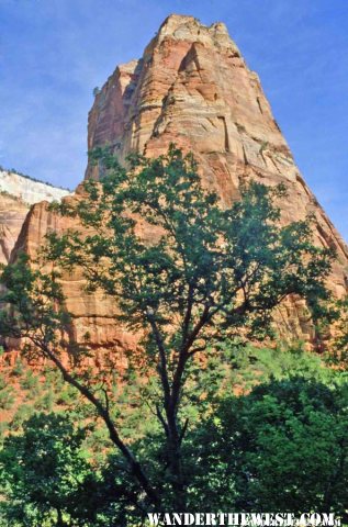 The walls of Zion Canyon