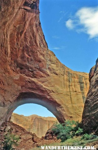 Lobo Natural Arch in Coyote Gulch