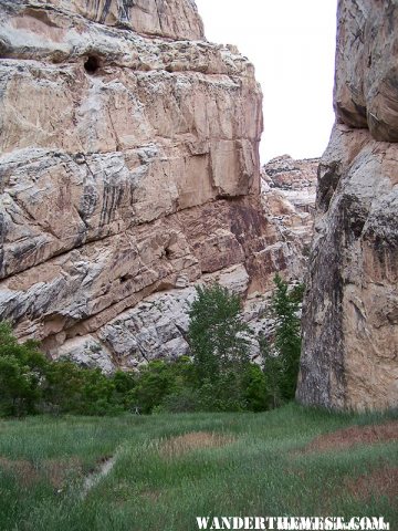 Hog Canyon Trail