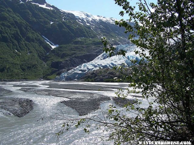 View of Exit Glacier