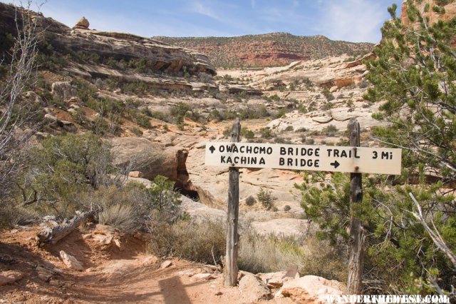 Along the Loop Trail