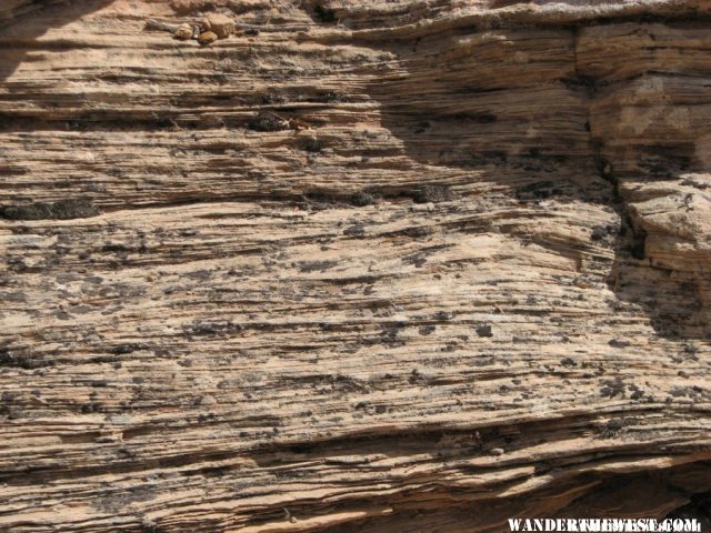 Sedimentary lines in the sandstone...