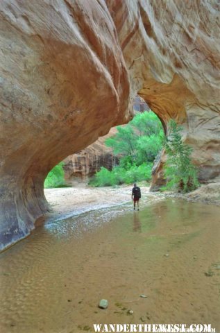 Coyote Natural Bridge in Coyote Canyon