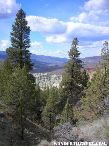 Blue Basin Overlook Trail
