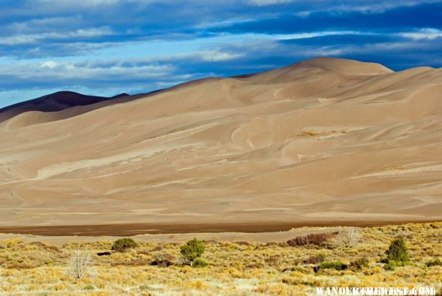 High Dune in Morning Light