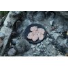 Browning chops on dutch oven lid