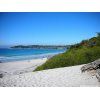 Carmel River State Beach