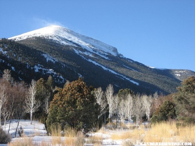 The view west -- Jeff Davis Peak, hiding Wheeler Peak