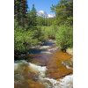 Glacier Creek at the Foot of Bierstadt Lake Trail