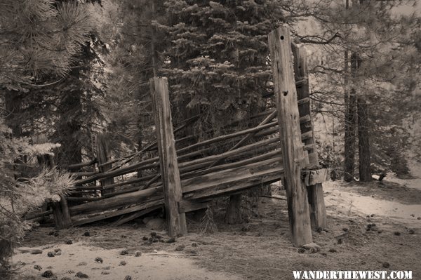 Lassen National Forest near Eagle Lake 