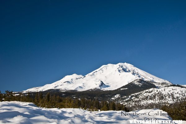 Mt. Shasta in Winter