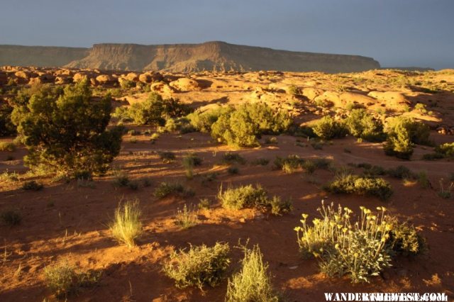 Indian Creek BLM Sunset