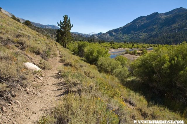 Leavitt Meadows