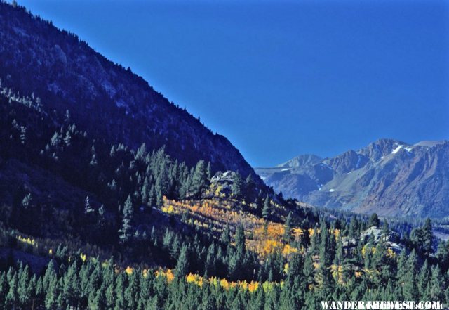 Late Fall on the Dana Lake Trail