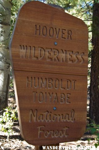 Hoover Wilderness