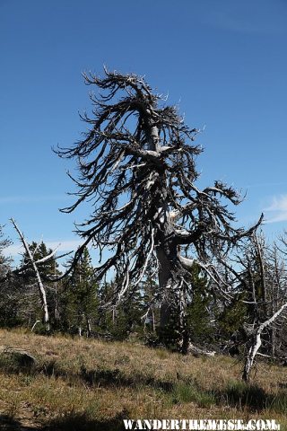 This mountain gets a bit of wind