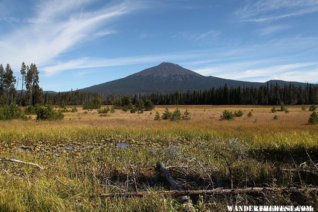 View of Mount Bachelor from Mallard Marsh Campground