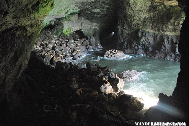 Inside the Sea Lion Caves